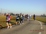 maratona_reggio_464.jpg