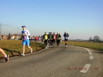 maratona_reggio_480.jpg