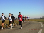 maratona_reggio_508.jpg