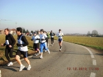 maratona_reggio_517.jpg