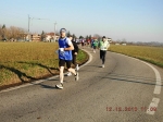 maratona_reggio_530.jpg