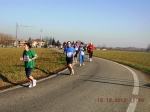 maratona_reggio_531.jpg