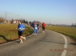 maratona_reggio_532.jpg