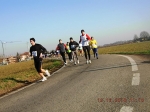 maratona_reggio_550.jpg