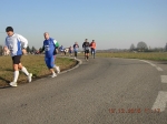 maratona_reggio_671.jpg