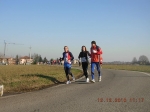 maratona_reggio_675.jpg