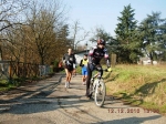 maratona_reggio_1029.jpg