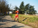 maratona_reggio_1050.jpg