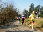 maratona_reggio_1101.jpg
