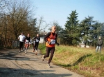 maratona_reggio_1115.jpg