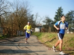 maratona_reggio_1195.jpg