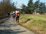 maratona_reggio_1248.jpg