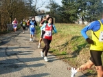 maratona_reggio_1268.jpg