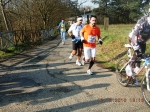 maratona_reggio_1276.jpg