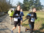 maratona_reggio_1310.jpg