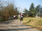 maratona_reggio_929.jpg