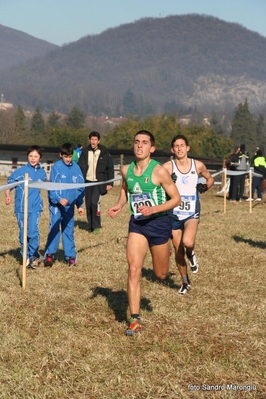 Clicca per vedere l'immagine alla massima grandezza