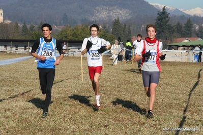 Clicca per vedere l'immagine alla massima grandezza