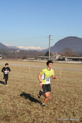 Clicca per vedere l'immagine alla massima grandezza