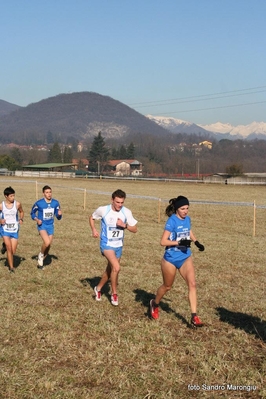 Clicca per vedere l'immagine alla massima grandezza
