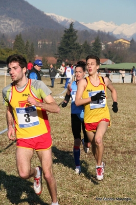 Clicca per vedere l'immagine alla massima grandezza