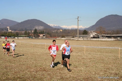Clicca per vedere l'immagine alla massima grandezza