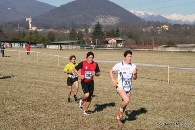 Clicca per vedere l'immagine alla massima grandezza