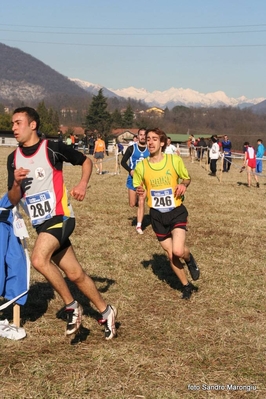 Clicca per vedere l'immagine alla massima grandezza
