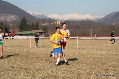 Clicca per vedere l'immagine alla massima grandezza