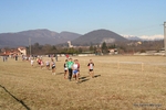 Immagine_5202.jpg