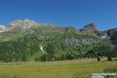 Clicca per vedere l'immagine alla massima grandezza