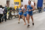 vivib_530.jpg