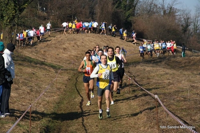 Clicca per vedere l'immagine alla massima grandezza