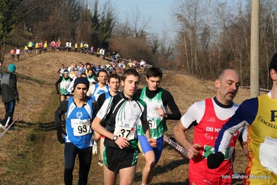 Clicca per vedere l'immagine alla massima grandezza