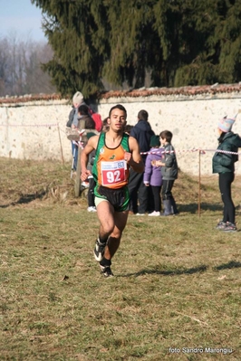 Clicca per vedere l'immagine alla massima grandezza