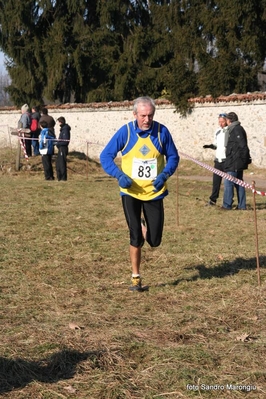 Clicca per vedere l'immagine alla massima grandezza