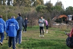 cir_004.jpg