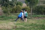 cir_005.jpg