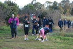 cir_008.jpg