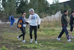 cir_009.jpg