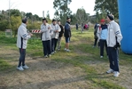 cir_012.jpg