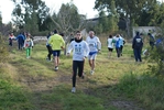 cir_013.jpg