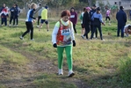 cir_014.jpg