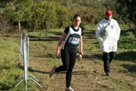 cir_021.jpg