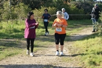 cir_023.jpg