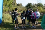 cir_025.jpg