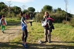 cir_029.jpg