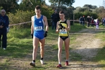 cir_038.jpg