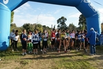 cir_040.jpg