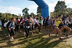 cir_045.jpg